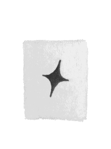 mu e blanca 2